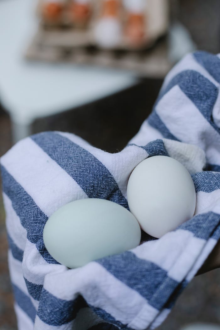 Two fresh eggs cradled in a rustic blue and white striped linen, emphasizing organic farm freshness.